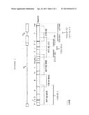 RECOMBINANT NON-PATHOGENIC MAREK S DISEASE VIRUS CONSTRUCTS ENCODING     INFECTIOUS LARYNGOTRACHEITIS VIRUS AND NEWCASTLE DISEASE VIRUS ANTIGENS diagram and image