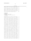 RECOMBINANT NON-PATHOGENIC MAREK S DISEASE VIRUS CONSTRUCTS ENCODING     INFECTIOUS LARYNGOTRACHEITIS VIRUS AND NEWCASTLE DISEASE VIRUS ANTIGENS diagram and image