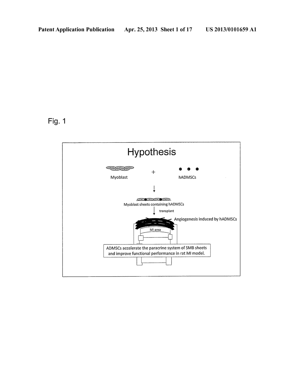 CELL SHEET FOR MYOCARDIAL REGENERATION, METHOD OF PRODUCING THE SAME, AND     METHOD OF USING THE SAME - diagram, schematic, and image 02