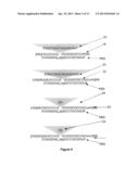 SELF-ASSEMBLING HALF-ANTIBODIES diagram and image