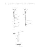 SELF-ASSEMBLING HALF-ANTIBODIES diagram and image