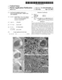 ENZYMATIC MODIFICATIONS OF A CELLULAR MONOLITHIC CARBON AND USES THEREOF diagram and image