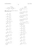 CHEMICAL AMPLIFIED PHOTORESIST COMPOSITION diagram and image