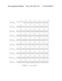 COMPOSITIONS, METHODS AND KITS TO DETECT HERPES SIMPLEX VIRUS NUCLEIC     ACIDS diagram and image