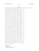 COMPOSITIONS, METHODS AND KITS TO DETECT HERPES SIMPLEX VIRUS NUCLEIC     ACIDS diagram and image