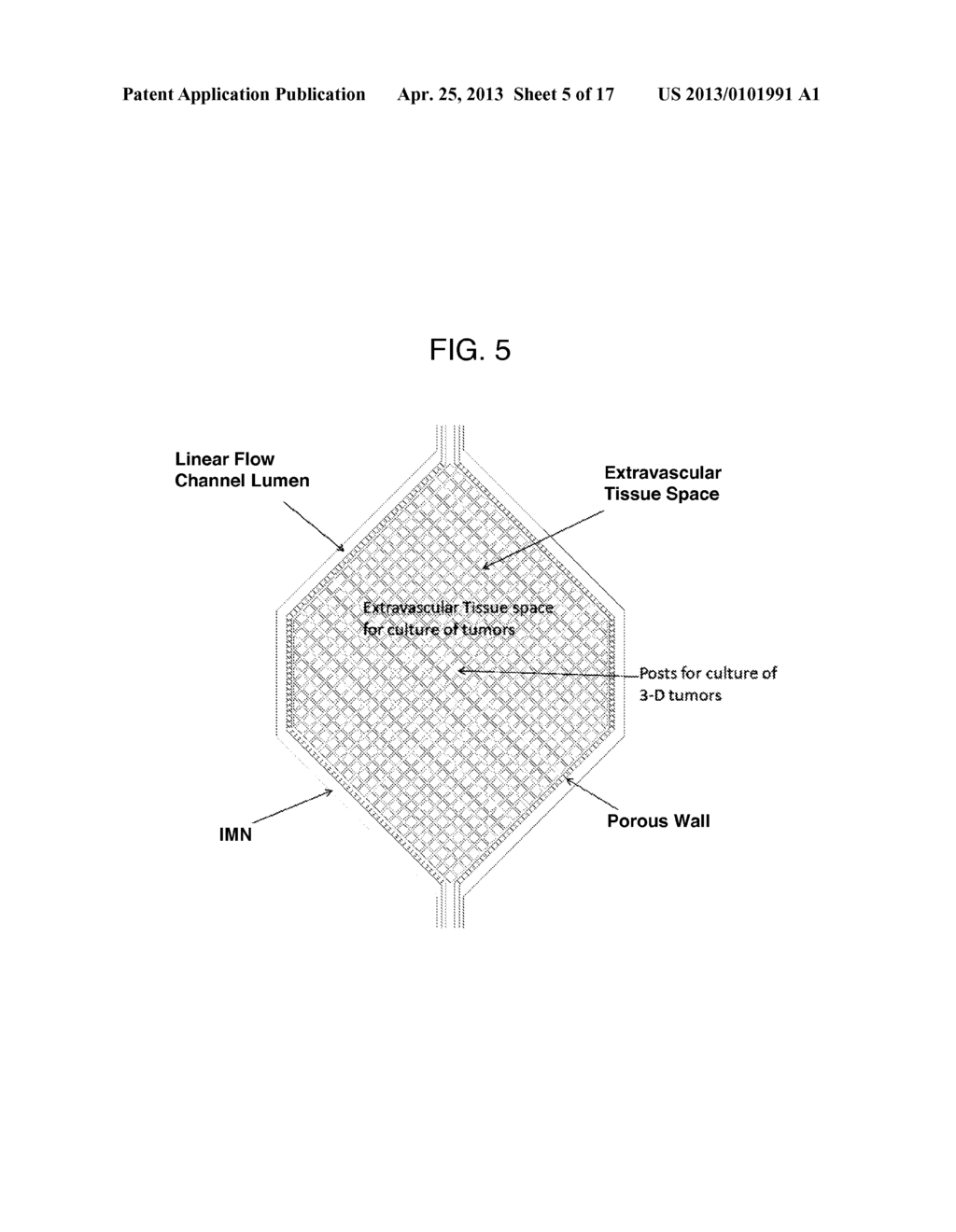 MICROFLUIDIC ASSAY IN IDEALIZED MICROVASCULAR NETWORK FOR SELECTION AND     OPTIMIZATION OF DRUG DELIVERY VEHICLES TO SIMULATED TUMORS - diagram, schematic, and image 06