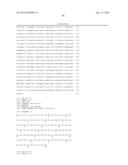 Endometrial Phase or Endometrial Cancer Biomarkers diagram and image