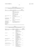 Endometrial Phase or Endometrial Cancer Biomarkers diagram and image