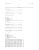 Endometrial Phase or Endometrial Cancer Biomarkers diagram and image