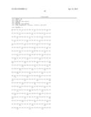 Endometrial Phase or Endometrial Cancer Biomarkers diagram and image