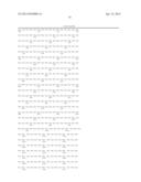 Endometrial Phase or Endometrial Cancer Biomarkers diagram and image