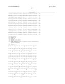 Endometrial Phase or Endometrial Cancer Biomarkers diagram and image