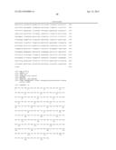 Endometrial Phase or Endometrial Cancer Biomarkers diagram and image