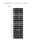 PLANTS WITH ALTERED CELL WALL BIOSYNTHESIS AND METHODS OF USE diagram and image