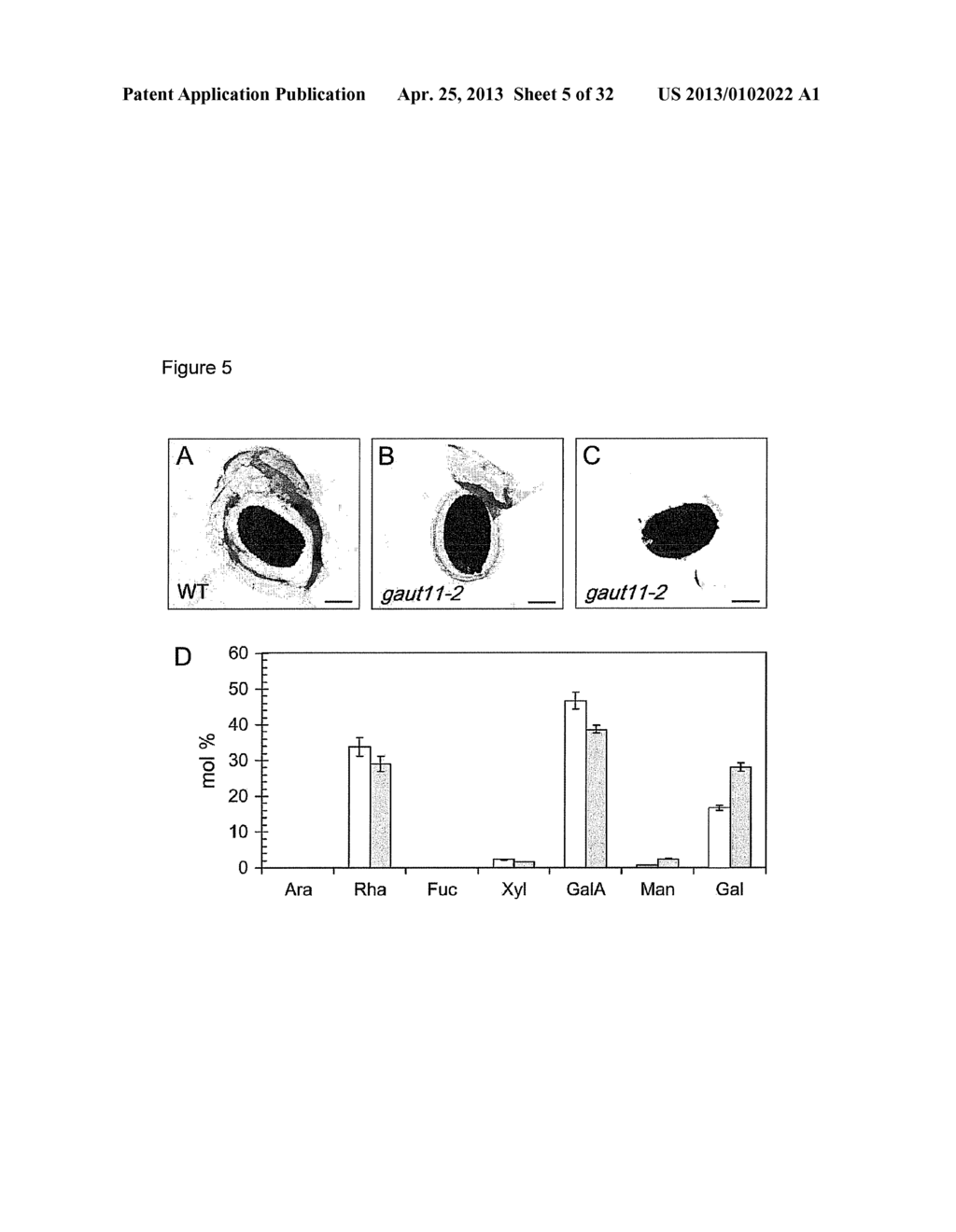 PLANTS WITH ALTERED CELL WALL BIOSYNTHESIS AND METHODS OF USE - diagram, schematic, and image 06