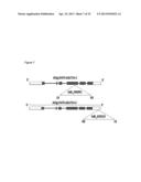 PLANTS WITH ALTERED CELL WALL BIOSYNTHESIS AND METHODS OF USE diagram and image