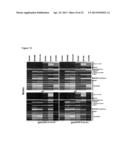 PLANTS WITH ALTERED CELL WALL BIOSYNTHESIS AND METHODS OF USE diagram and image