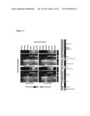 PLANTS WITH ALTERED CELL WALL BIOSYNTHESIS AND METHODS OF USE diagram and image