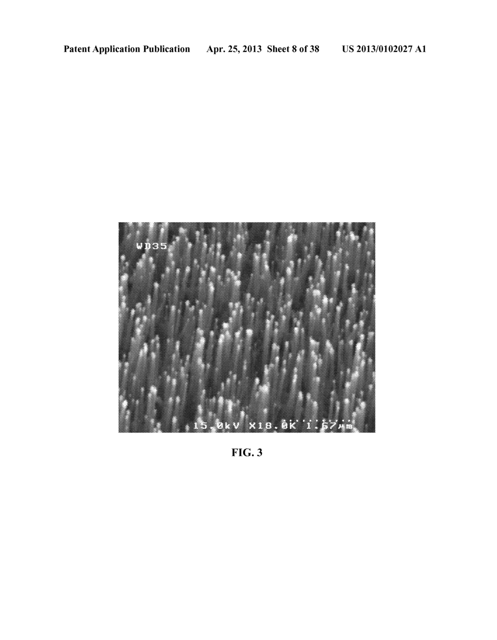 METHOD FOR DETECTING CANCER CELLS USING VERTICALLY CARBON NANOTUBES - diagram, schematic, and image 09