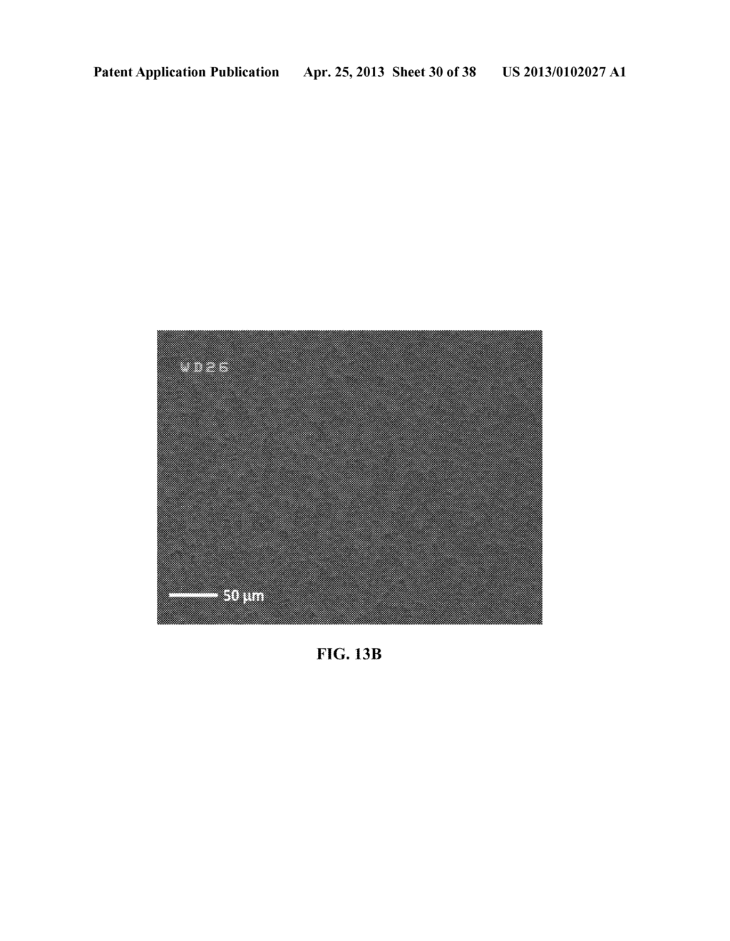 METHOD FOR DETECTING CANCER CELLS USING VERTICALLY CARBON NANOTUBES - diagram, schematic, and image 31