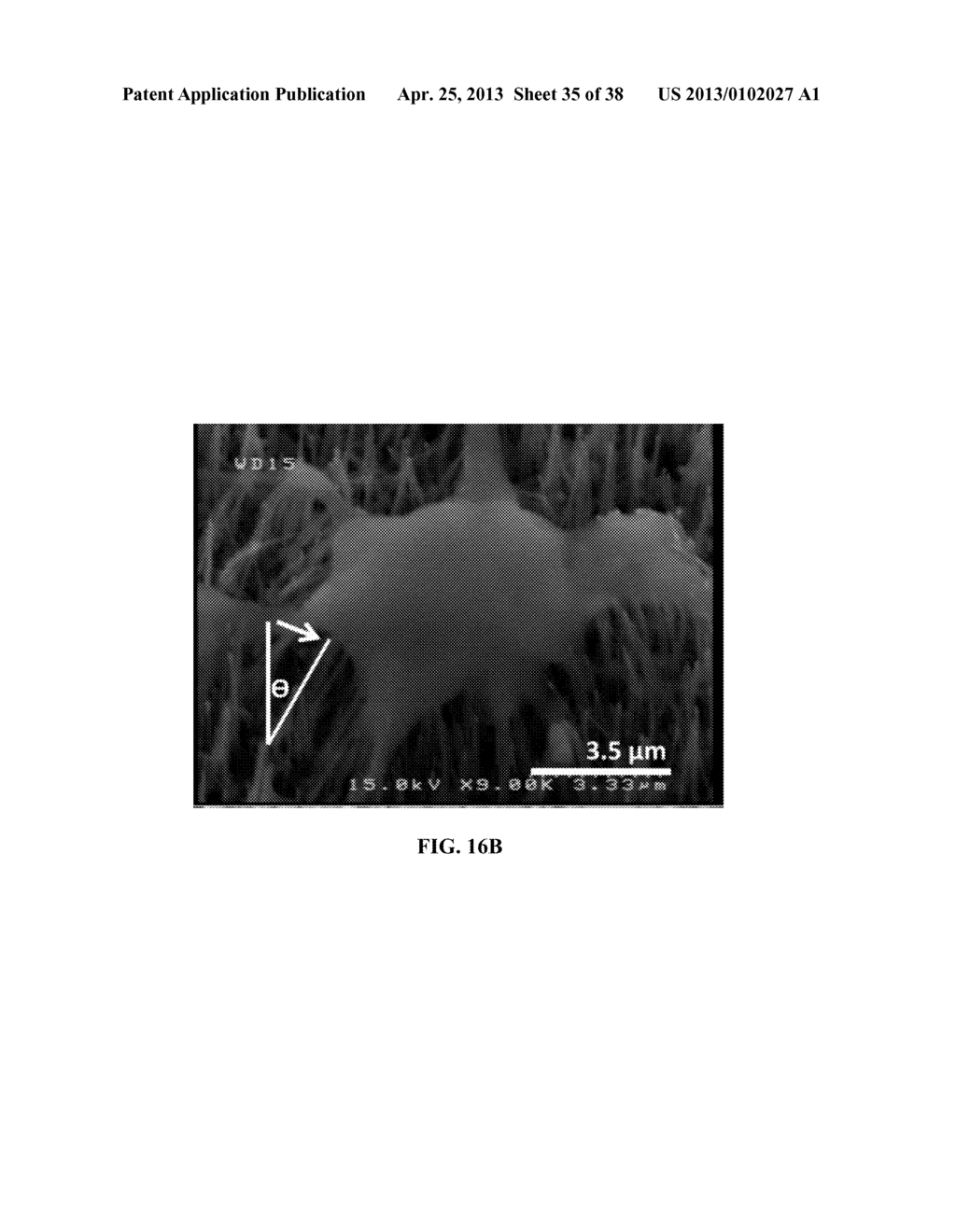 METHOD FOR DETECTING CANCER CELLS USING VERTICALLY CARBON NANOTUBES - diagram, schematic, and image 36