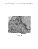 Processing Biomass diagram and image