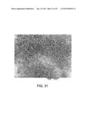 Processing Biomass diagram and image