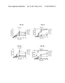 MODIFIED NUCLEOSIDES, NUCLEOTIDES, AND NUCLEIC ACIDS, AND USES THEREOF diagram and image