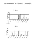 MODIFIED NUCLEOSIDES, NUCLEOTIDES, AND NUCLEIC ACIDS, AND USES THEREOF diagram and image