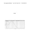 MODIFIED NUCLEOSIDES, NUCLEOTIDES, AND NUCLEIC ACIDS, AND USES THEREOF diagram and image