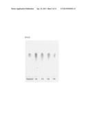 NOVEL MARINE BACTERIUM OF METABOLIZING 3,6-ANHYDRO-L-GALACTOSE AND USE OF     THE SAME diagram and image