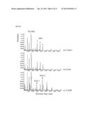 NOVEL MARINE BACTERIUM OF METABOLIZING 3,6-ANHYDRO-L-GALACTOSE AND USE OF     THE SAME diagram and image