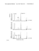 NOVEL MARINE BACTERIUM OF METABOLIZING 3,6-ANHYDRO-L-GALACTOSE AND USE OF     THE SAME diagram and image