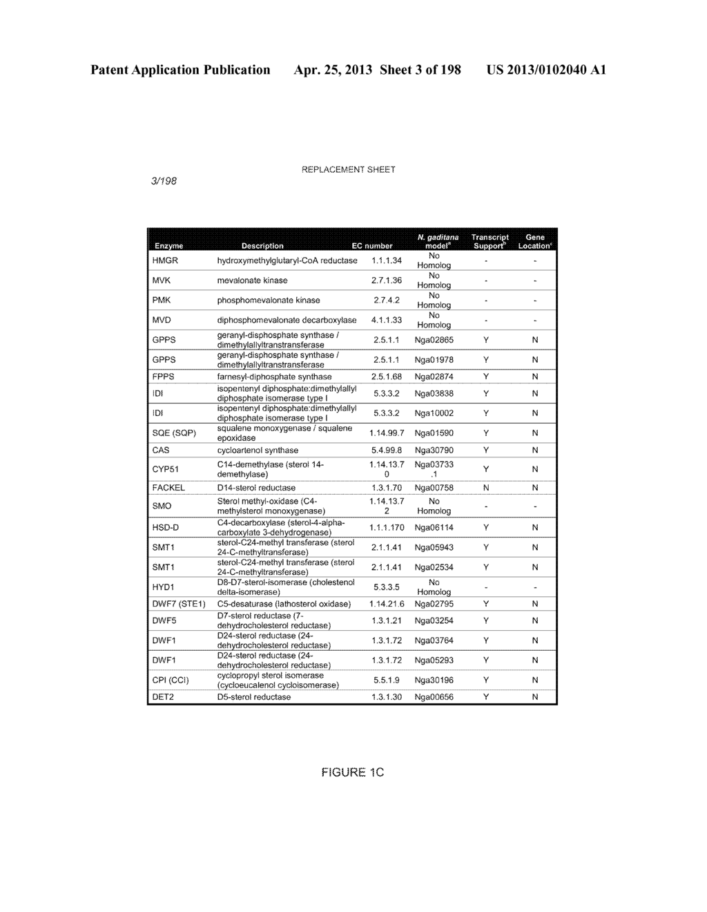 USE OF ENDOGENOUS PROMOTERS IN GENETIC ENGINEERING OF NANNOCHLOROPSIS     GADITANA - diagram, schematic, and image 04