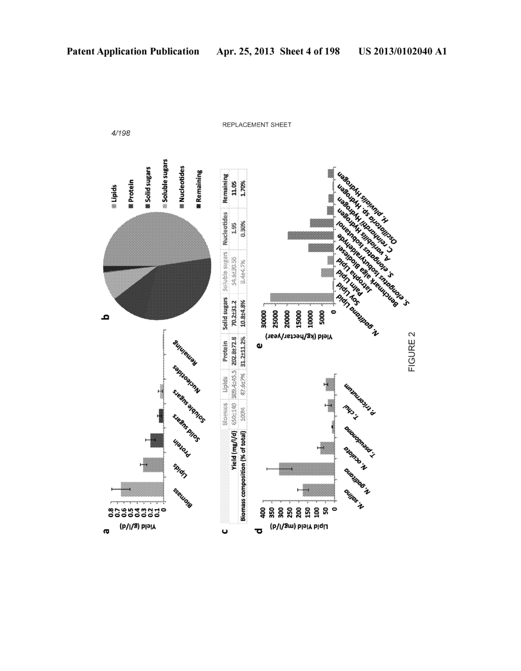 USE OF ENDOGENOUS PROMOTERS IN GENETIC ENGINEERING OF NANNOCHLOROPSIS     GADITANA - diagram, schematic, and image 05