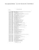 USE OF ENDOGENOUS PROMOTERS IN GENETIC ENGINEERING OF NANNOCHLOROPSIS     GADITANA diagram and image