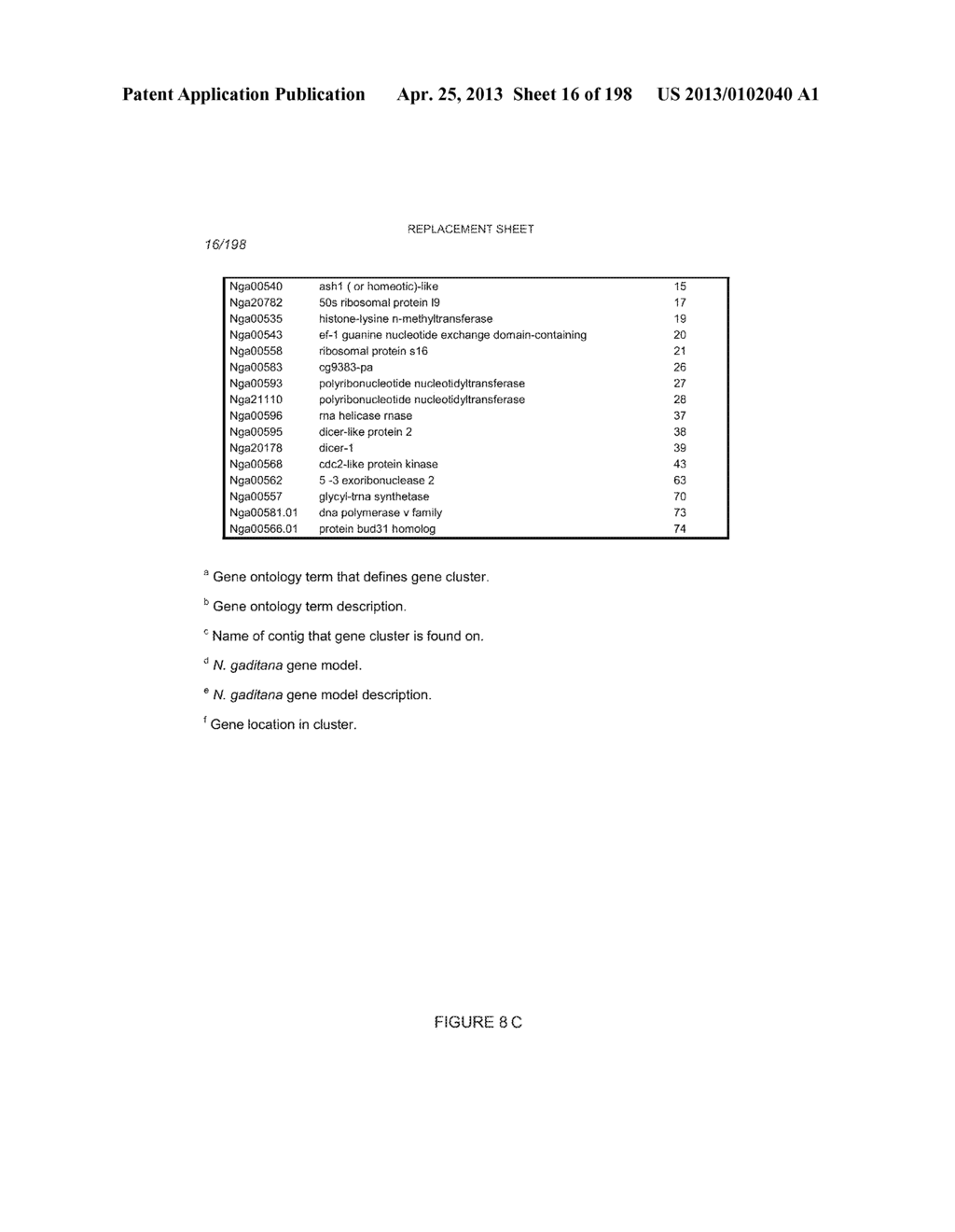 USE OF ENDOGENOUS PROMOTERS IN GENETIC ENGINEERING OF NANNOCHLOROPSIS     GADITANA - diagram, schematic, and image 17