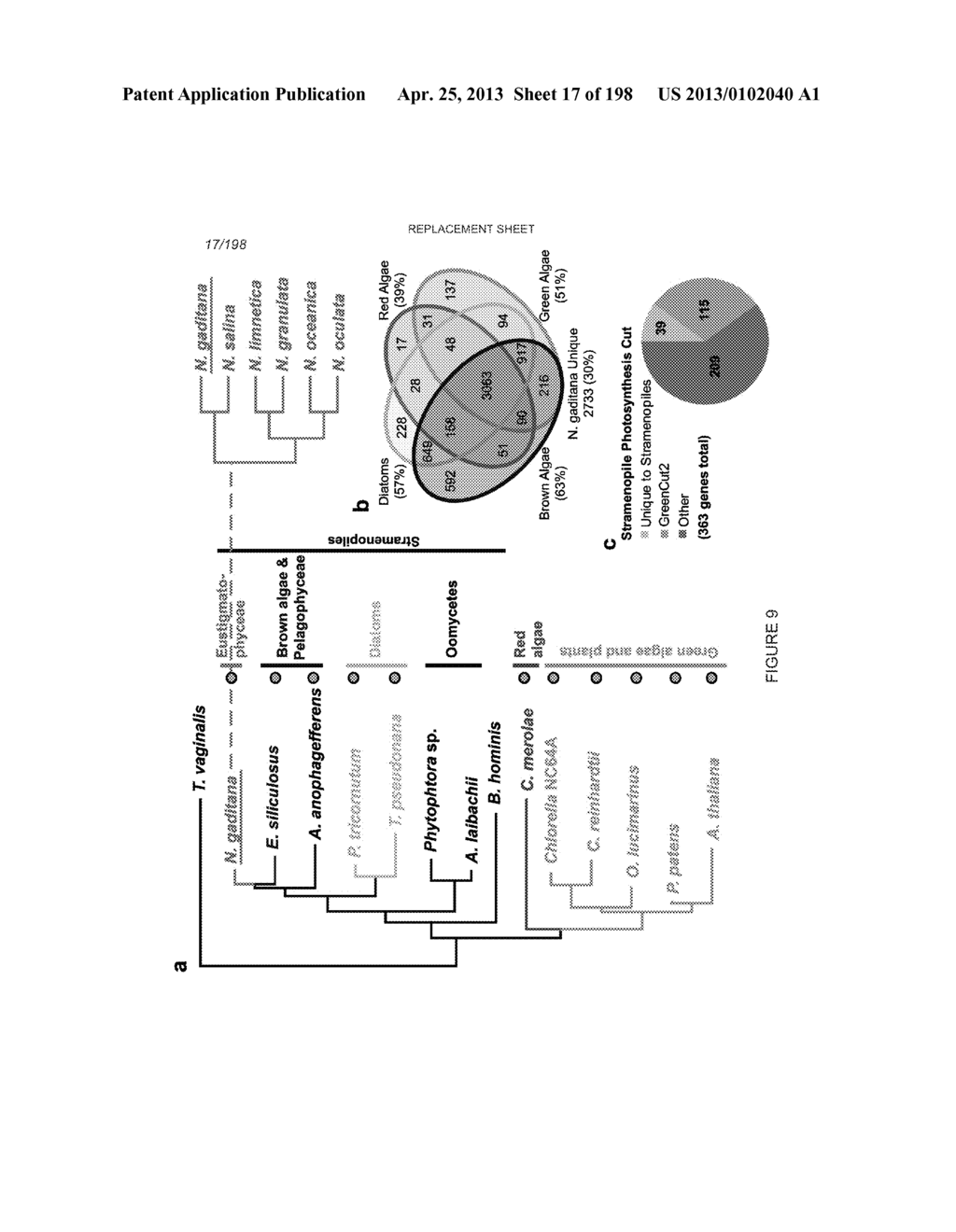 USE OF ENDOGENOUS PROMOTERS IN GENETIC ENGINEERING OF NANNOCHLOROPSIS     GADITANA - diagram, schematic, and image 18