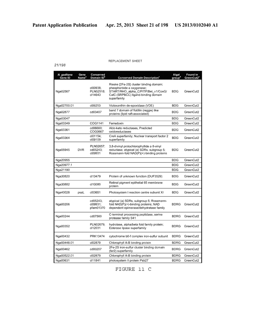 USE OF ENDOGENOUS PROMOTERS IN GENETIC ENGINEERING OF NANNOCHLOROPSIS     GADITANA - diagram, schematic, and image 22