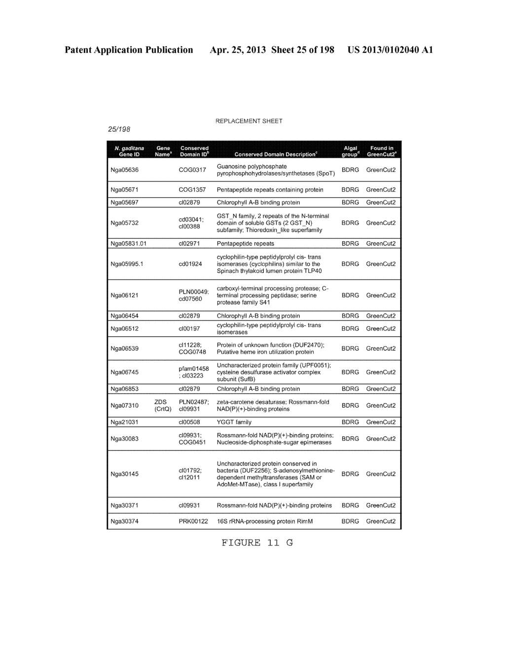 USE OF ENDOGENOUS PROMOTERS IN GENETIC ENGINEERING OF NANNOCHLOROPSIS     GADITANA - diagram, schematic, and image 26