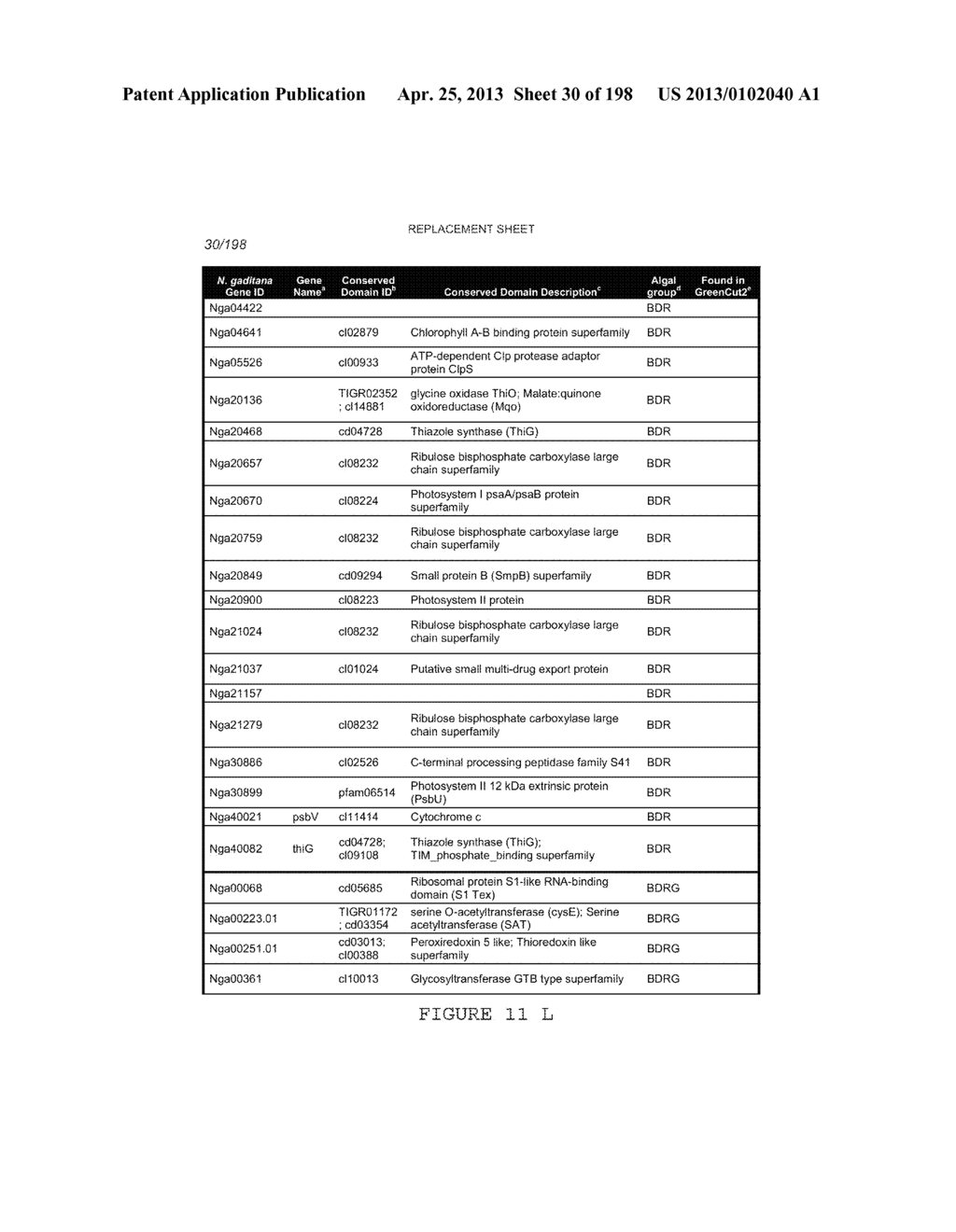 USE OF ENDOGENOUS PROMOTERS IN GENETIC ENGINEERING OF NANNOCHLOROPSIS     GADITANA - diagram, schematic, and image 31