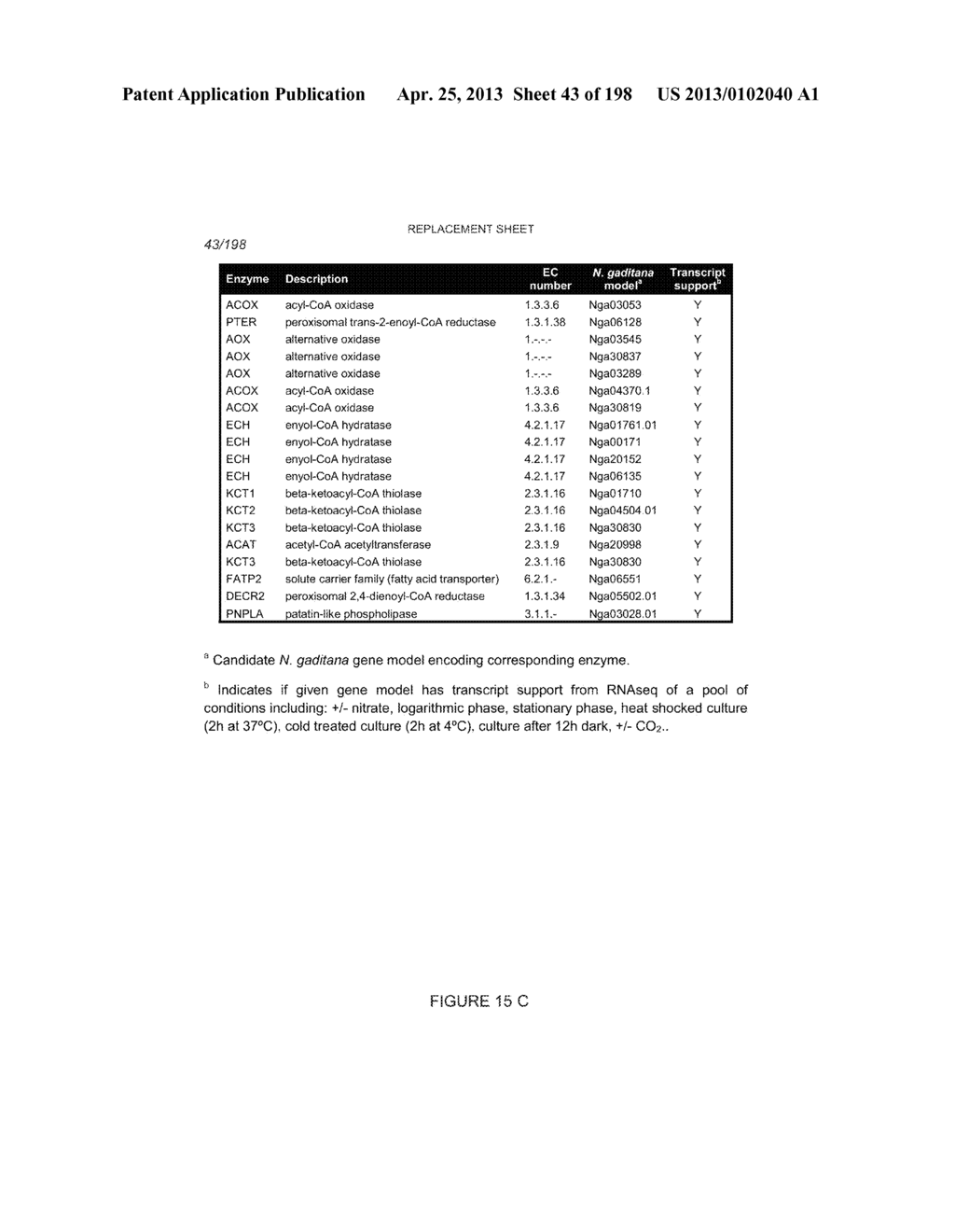 USE OF ENDOGENOUS PROMOTERS IN GENETIC ENGINEERING OF NANNOCHLOROPSIS     GADITANA - diagram, schematic, and image 44