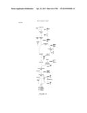 USE OF ENDOGENOUS PROMOTERS IN GENETIC ENGINEERING OF NANNOCHLOROPSIS     GADITANA diagram and image