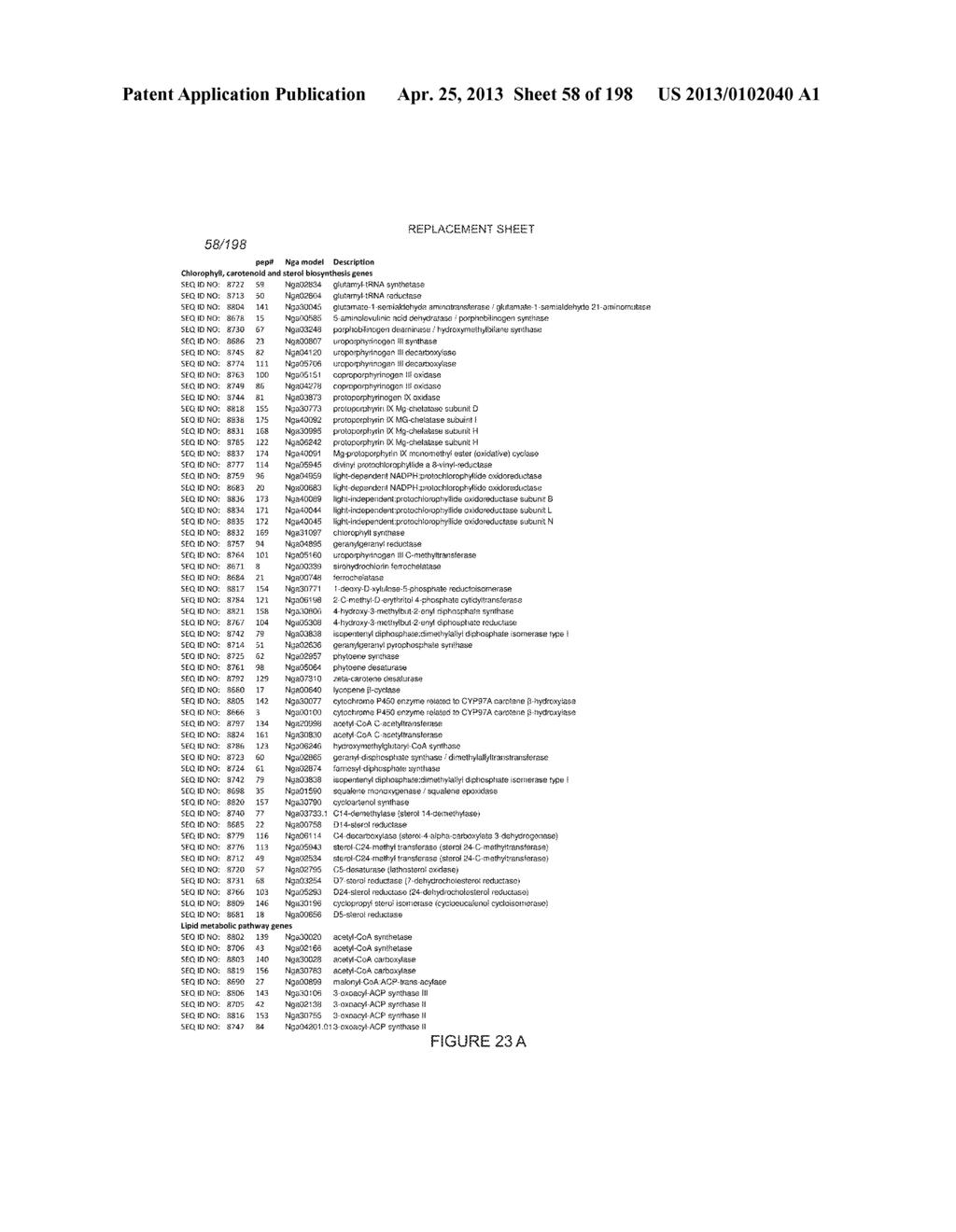 USE OF ENDOGENOUS PROMOTERS IN GENETIC ENGINEERING OF NANNOCHLOROPSIS     GADITANA - diagram, schematic, and image 59