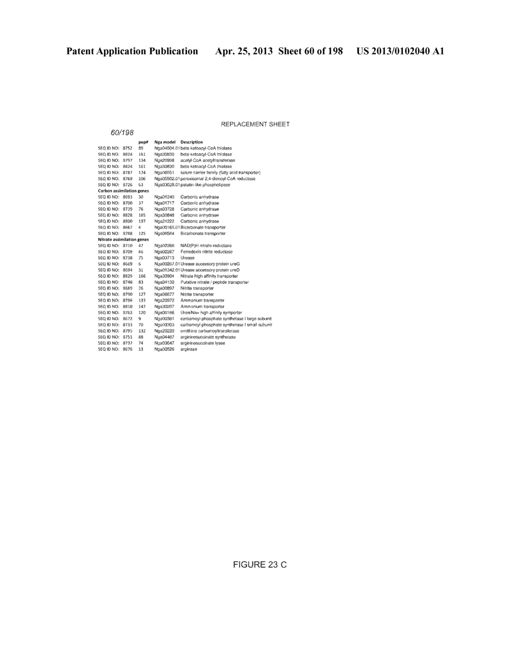 USE OF ENDOGENOUS PROMOTERS IN GENETIC ENGINEERING OF NANNOCHLOROPSIS     GADITANA - diagram, schematic, and image 61