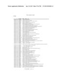 USE OF ENDOGENOUS PROMOTERS IN GENETIC ENGINEERING OF NANNOCHLOROPSIS     GADITANA diagram and image