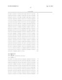 GENETICALLY MODIFIED FUNGI AND THEIR USE IN LIPID PRODUCTION diagram and image