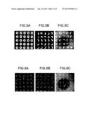 MICROCHIP FOR NUCLEIC ACID AMPLIFICATION REACTION AND METHOD OF PRODUCING     THE SAME diagram and image