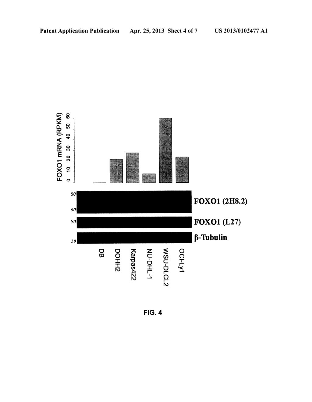 BIOMARKERS FOR NON-HODGKIN LYMPHOMAS AND USES THEREOF - diagram, schematic, and image 05