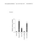 METHODS OF ENHANCING PLURIPOTENTCY diagram and image